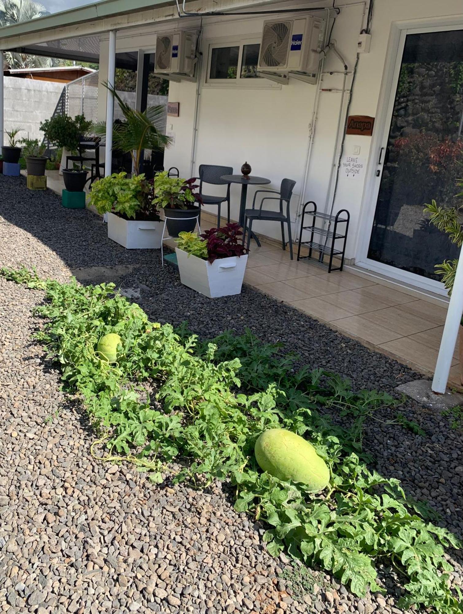 A Tomo Mai Homestay, Close To Airport, Private Bathroom Free Parking And Wifi With High Connection And Breakfast Optional Faaa Exterior photo
